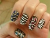 animal nails