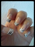 Zebra Stripe Tips