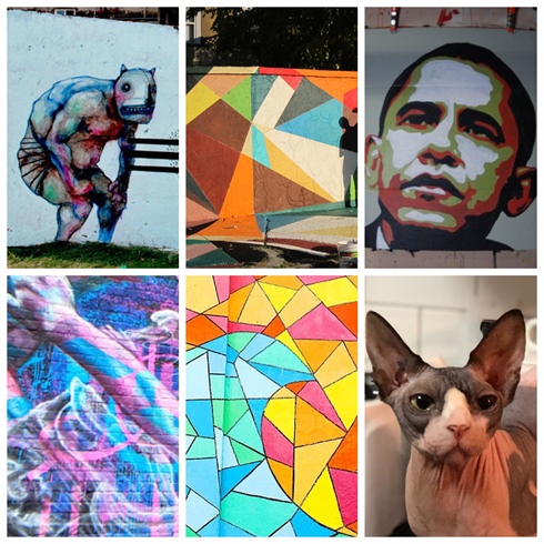 This is my mood board. I was heavily attracted to blocks and splashes of colour along side geometric shapes for an abstract/realism take on Urban Art and my Sphynx, Reggie. He is my reference, this week, to something I am passionate and enthusiastic about. 