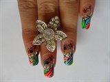 colourfull nails