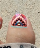Bright Blingy Toes