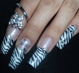 zebra with kiss nail jewelry