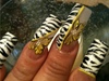 cebras nails