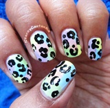 Pastel Leopard print