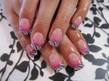 Pinked out Zebra