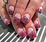 Zebra In Pink