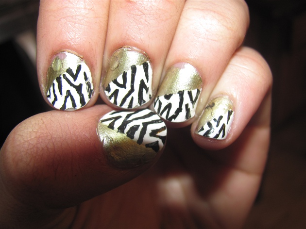 Gold Zebra