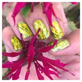 Nails In Nature 