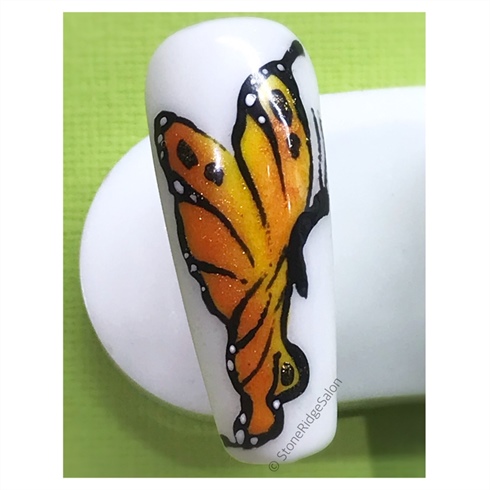 🧡 Butterfly Beauty 🧡