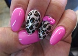 Pink leopard 