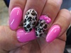 Pink leopard 