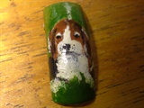 Beagle hand painted