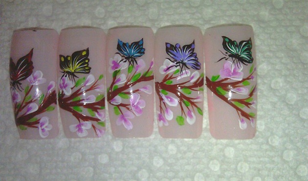 cherry blossom butterflies by tammy