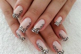 leopard french