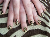 traditional leopard print