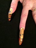 Joby Nail Art Tiger Stickers