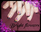 Bright Flowers