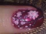 Cherry Blossoms on Red