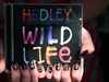 Hedley Wild Life Nail Art