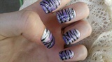 Purple zebra
