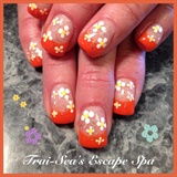 Orange Tips with Hand Painted Daisies