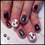 Paws - hand painted on Shellac