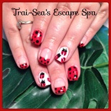Lady Bugs - hand painted