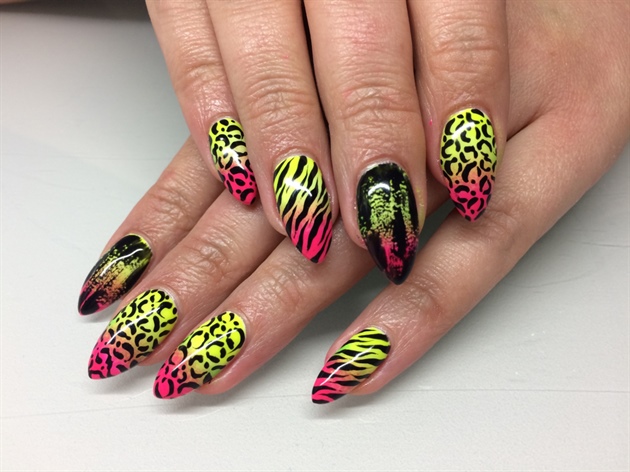 Neon Zebra &amp; Leopard