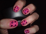 pink gepard
