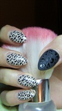 Black and beige nails with animal print