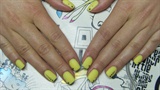 Yellow  matte nails