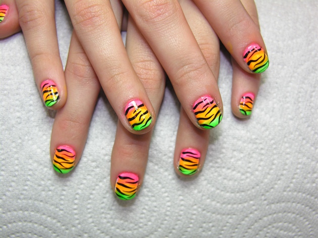 rainbow zebra