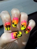 Beach sunset Palm trees 
